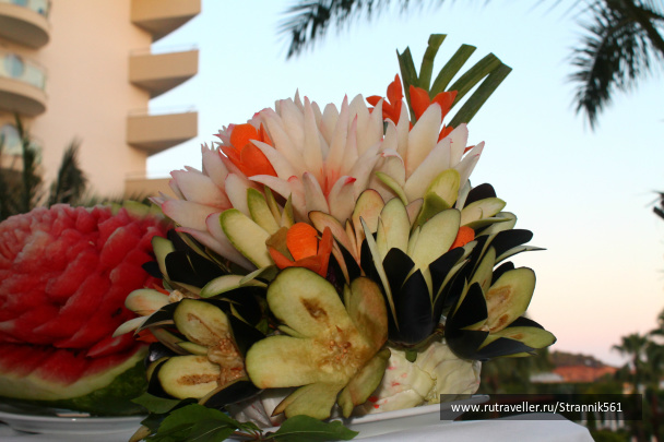 photo 466535