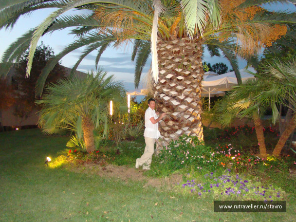 photo 173351