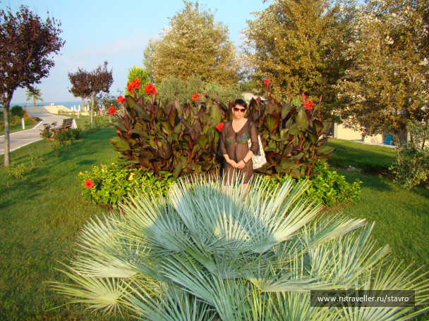 photo 173352