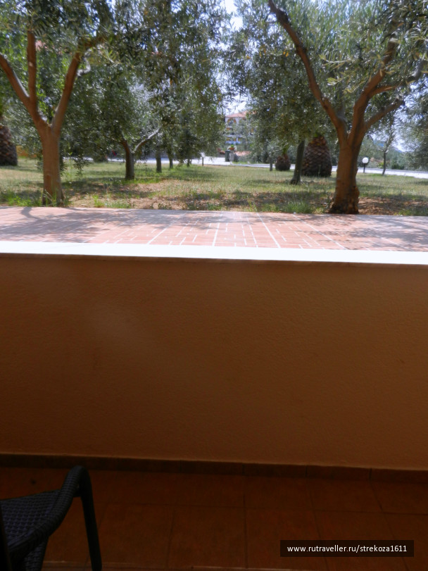photo 246290
