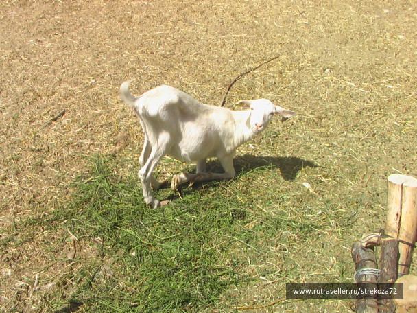 photo 50912