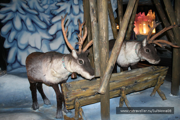 photo 659990