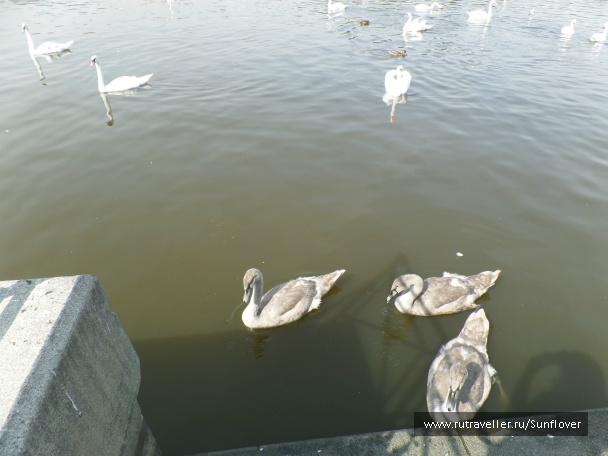 photo 536154