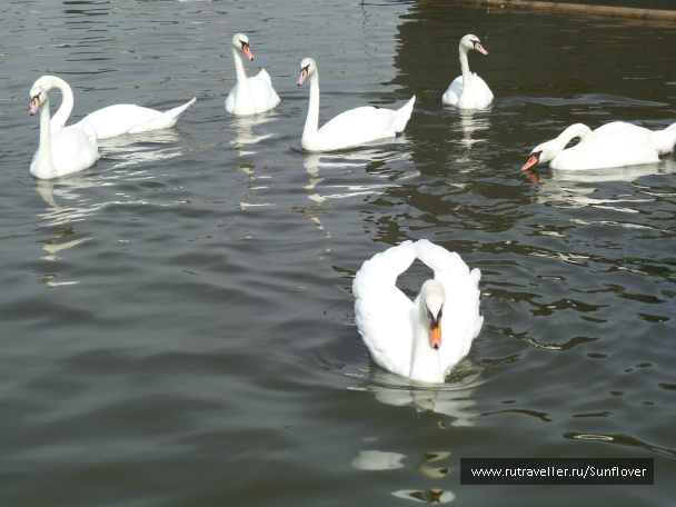 photo 536155