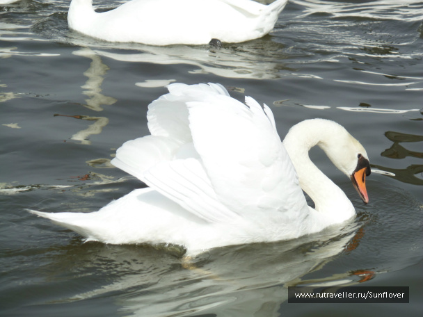 photo 536156