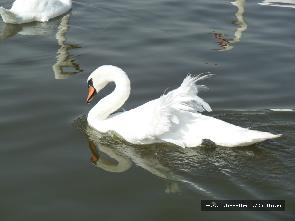 photo 536157