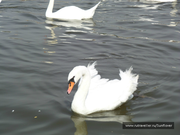 photo 536158