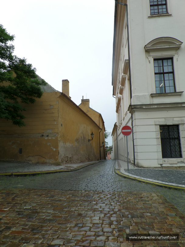 photo 536186