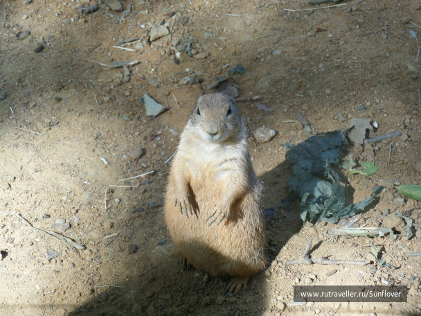 photo 536189