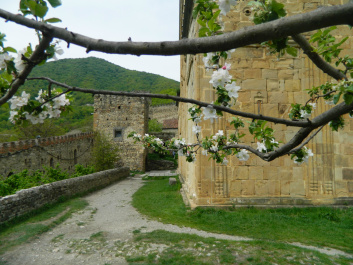 photo 323166