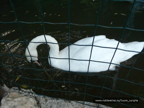 photo 1414404
