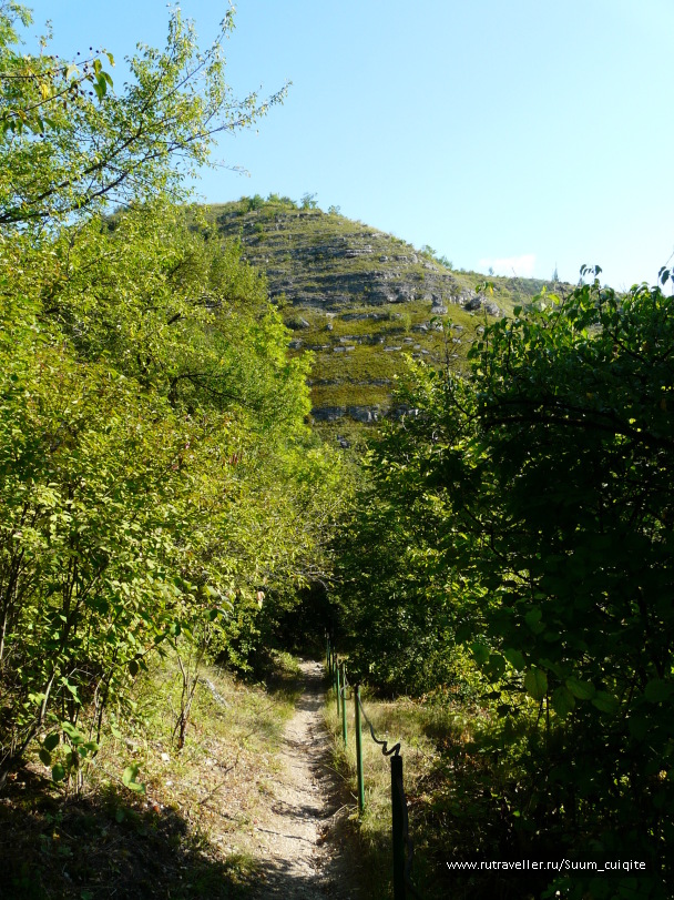 photo 1414423