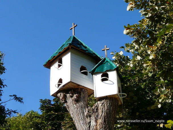 photo 1414448