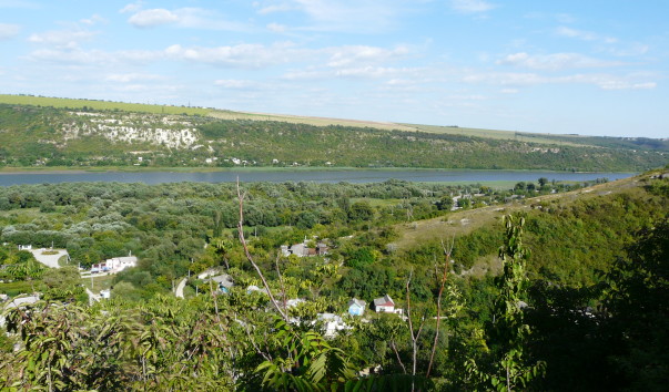 P1310266