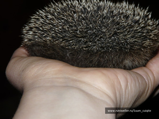 photo 1414883