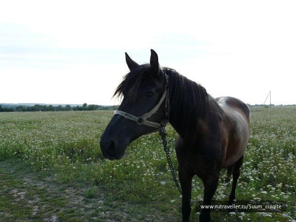 photo 1414884