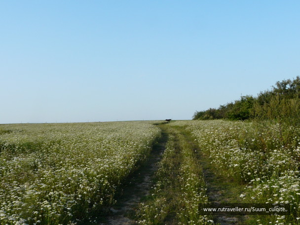 photo 1414886
