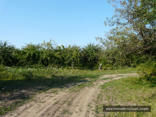 photo 1414889