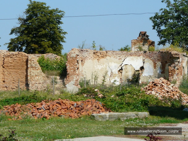 photo 1414893
