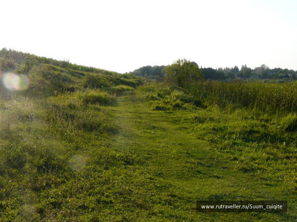 photo 1414909