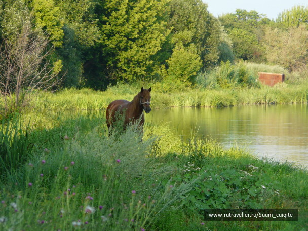 photo 1414910