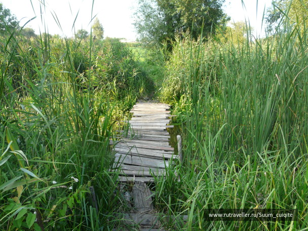 photo 1414912