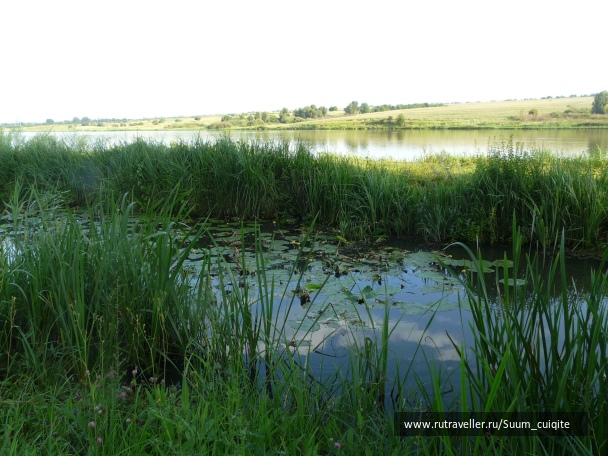 photo 1414917