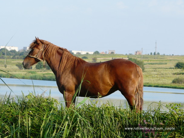 photo 1414919