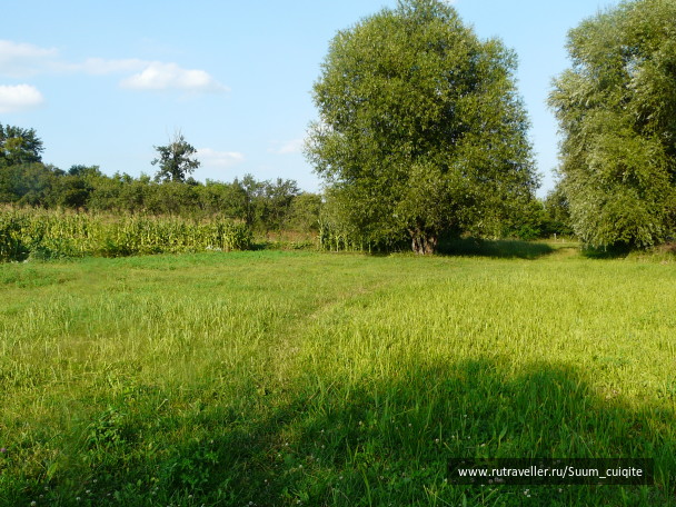 photo 1414920
