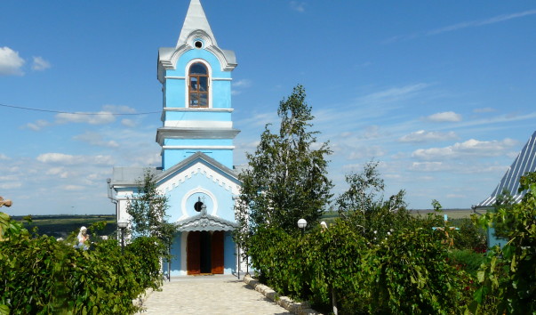 P1310238