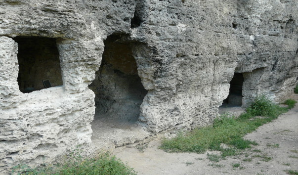 P1310195