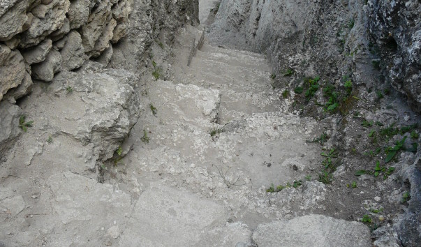 P1310142