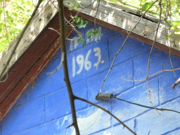 photo 1414678