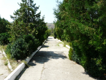 photo 1414682