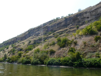 photo 1414785