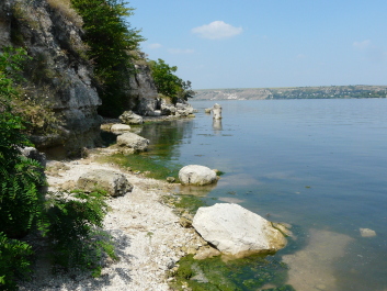 photo 1414786