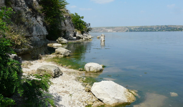 P1310946