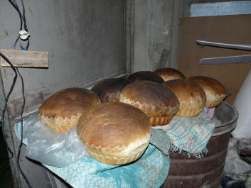photo 1414795