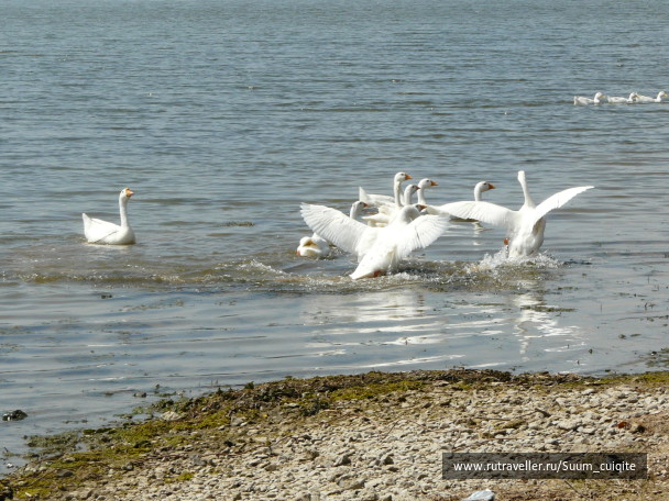 photo 1414801