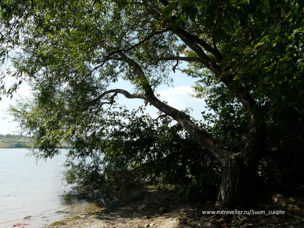 photo 1414802