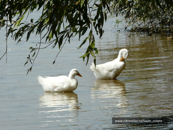 photo 1414803