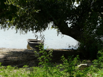 photo 1414805