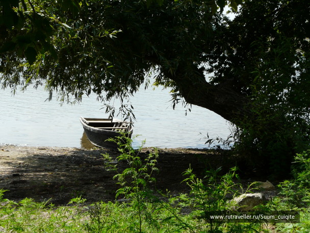 photo 1414805