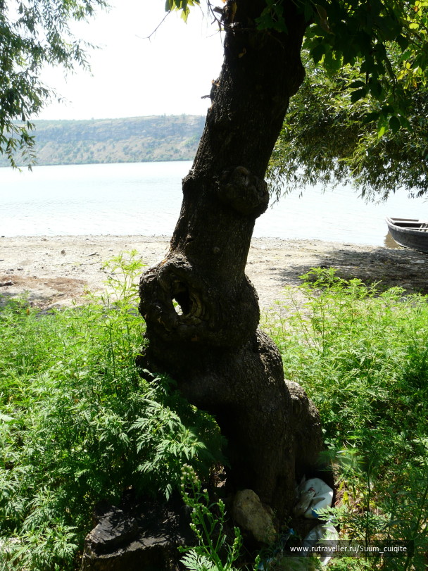 photo 1414806