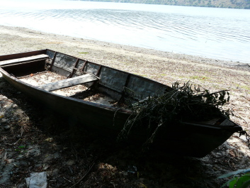 photo 1414808