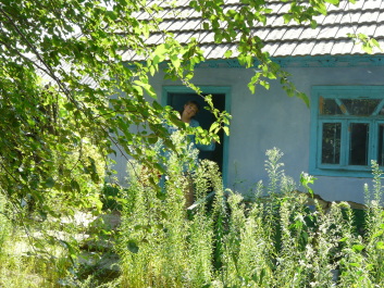 photo 1414809