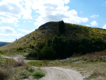 photo 1414816
