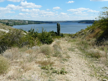 photo 1414819