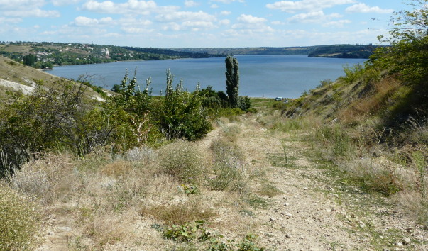 P1310642