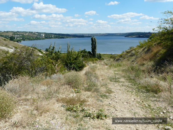 photo 1414819